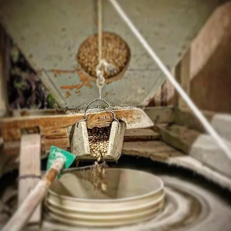 Bauernhof La Noce Di Creta