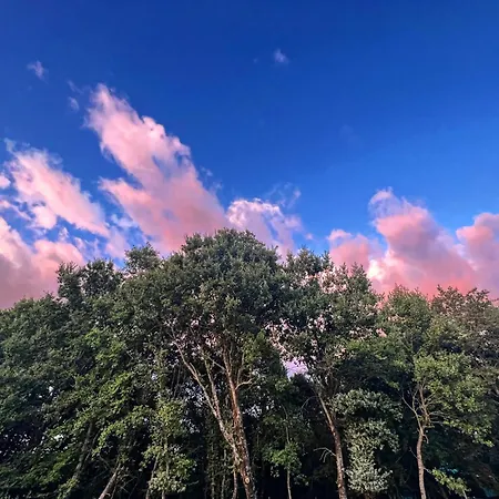 La Noce Di Creta * Poggio Moiano