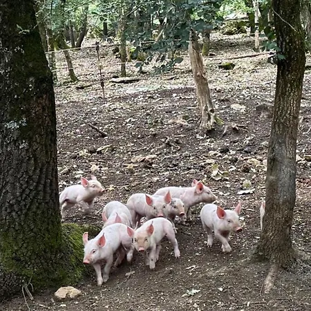 La Noce Di Creta Poggio Moiano